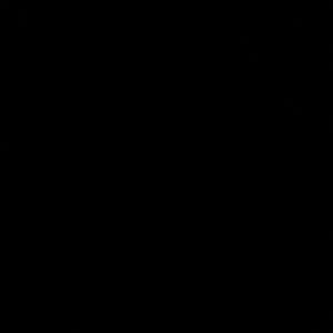 Meet your Posher, Camryn